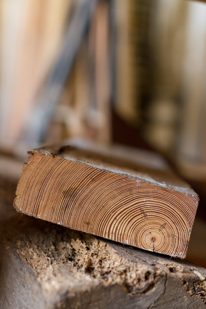 Branding session:  Architectural Salvage Bank