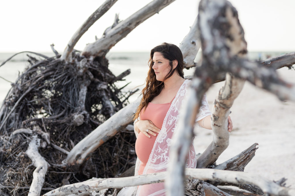 maternity photos in driftwood tree
