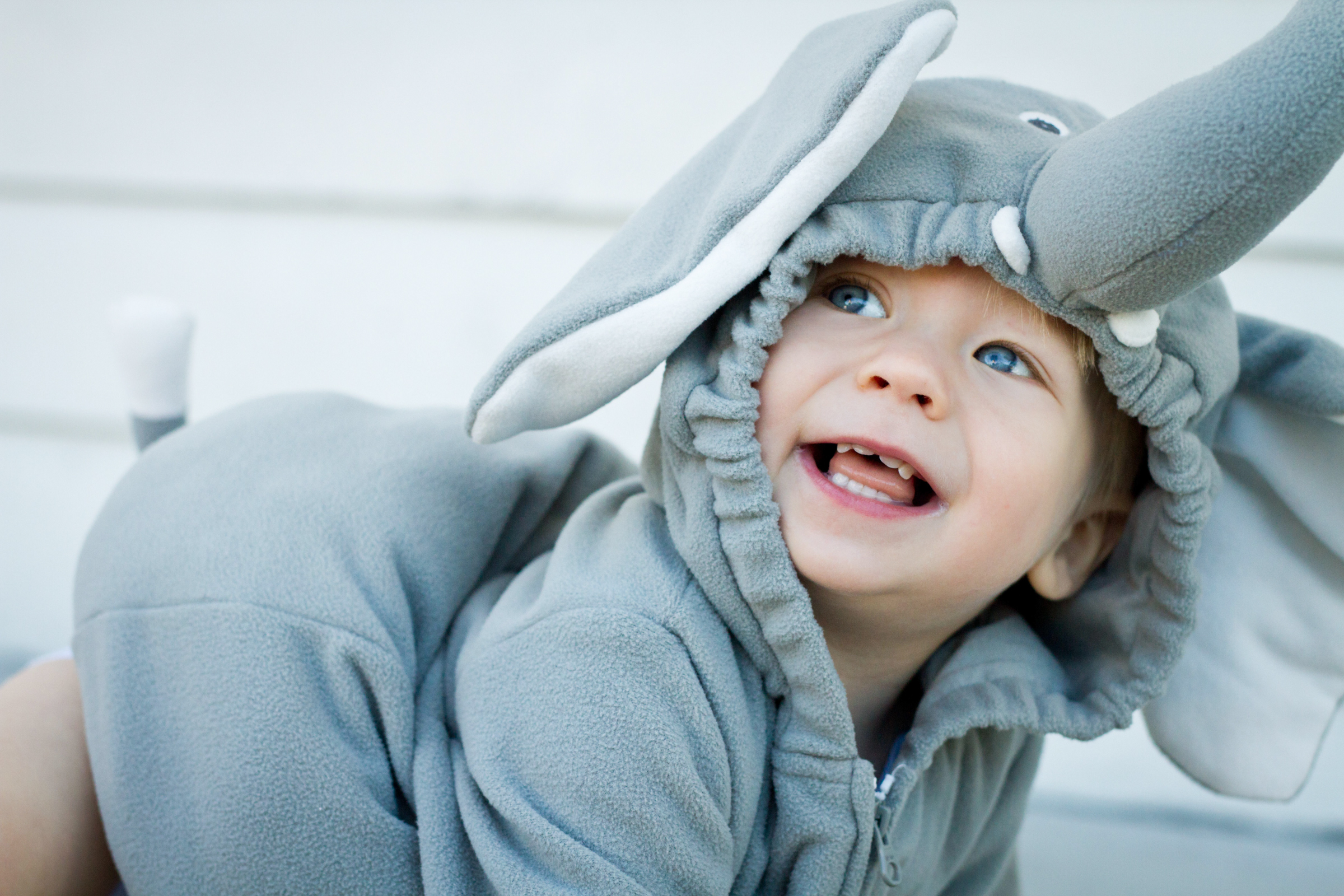blue eyed baby in elephant costume-2