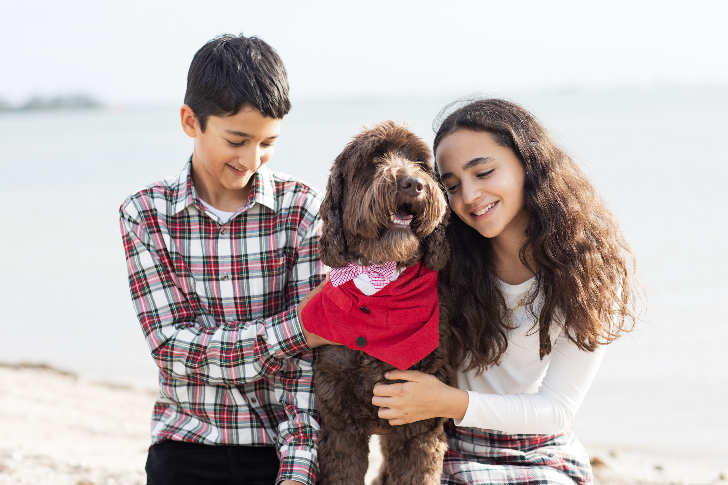 dog dressed up in a vest for photos