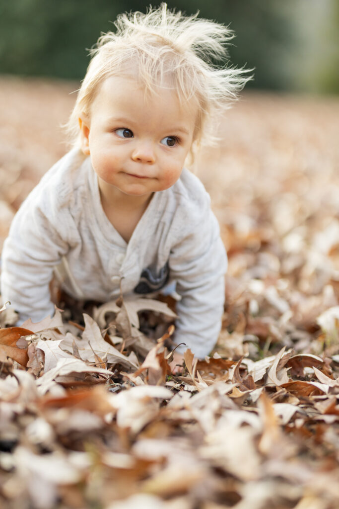 tampa family photography baby crawling in fall leaves