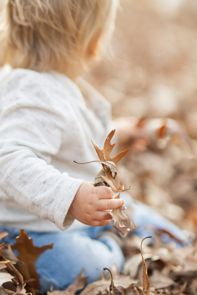 baby hands holding a leaf