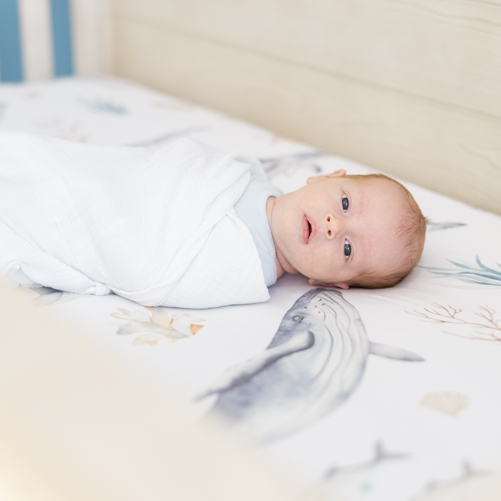 newborn in his crib with cute whale sheets