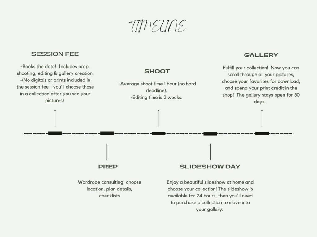 photography timeline