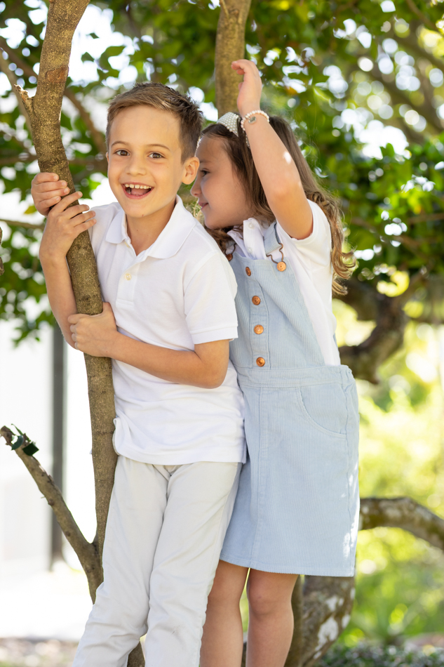 kids climbing tree