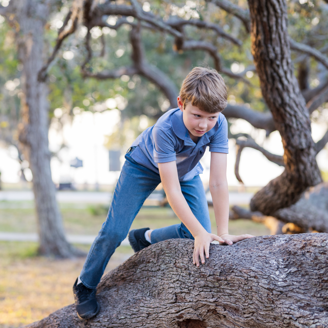 boy climbing a tree